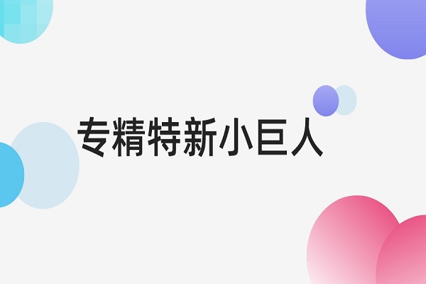 專精特新小巨人認(rèn)定標(biāo)準(zhǔn)是什么，專精特新小巨人申報(bào)條件