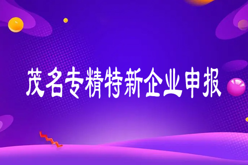 茂名專精特新企業(yè)申報