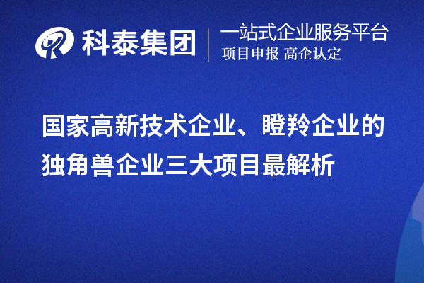 國家高新技術(shù)企業(yè)、瞪羚企業(yè)的獨角獸企業(yè)三大項目最解析