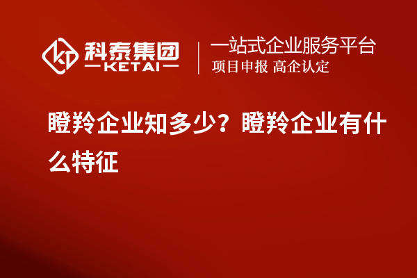 瞪羚企業(yè)知多少？瞪羚企業(yè)有什么特征