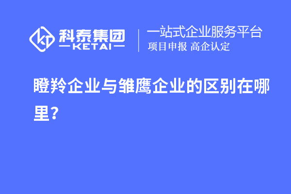 瞪羚企業(yè)與雛鷹企業(yè)的區(qū)別在哪里？