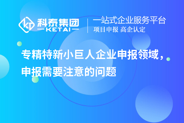 專精特新小巨人企業(yè)申報(bào)領(lǐng)域,申報(bào)需要注意的問(wèn)題