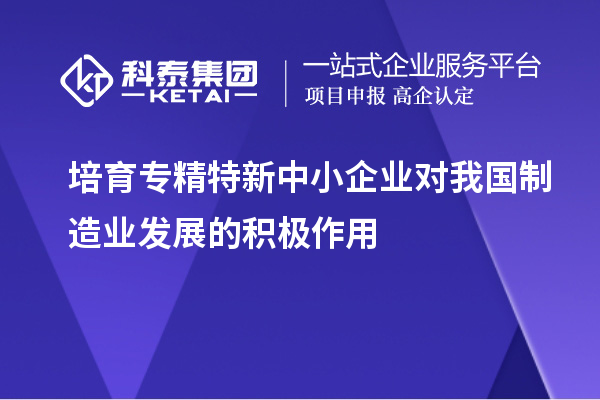 培育專精特新中小企業(yè)對(duì)我國(guó)制造業(yè)發(fā)展的積極作用
