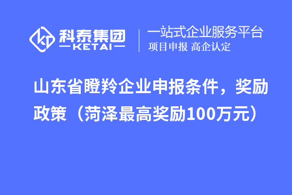 山東省瞪羚企業(yè)申報(bào)條件，獎(jiǎng)勵(lì)政策（菏澤最高獎(jiǎng)勵(lì)100萬元）