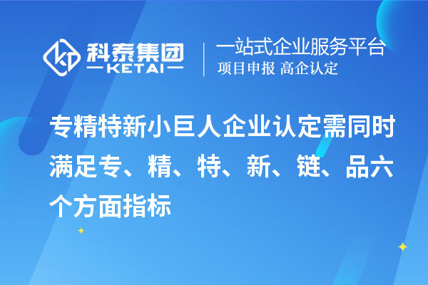 專精特新小巨人企業(yè)認定需同時滿足專、精、特、 新、鏈、品六個方面指標