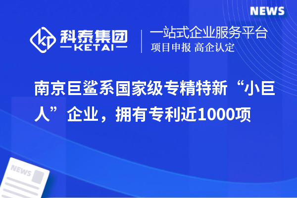 南京巨鯊系國家級專精特新“小巨人”企業(yè)，擁有專利近1000項