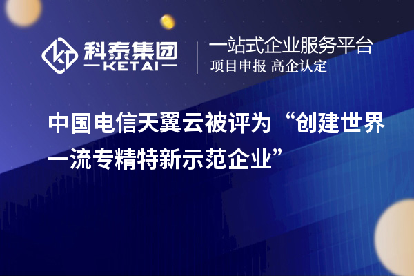中國(guó)電信天翼云被評(píng)為“創(chuàng)建世界一流專精特新示范企業(yè)”