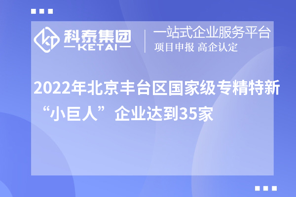 2022年北京豐臺區(qū)國家級專精特新“小巨人”企業(yè)達(dá)到35家
