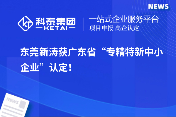 東莞新濤獲廣東省“專精特新中小企業(yè)”認定！