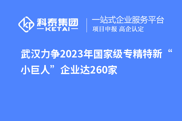 武漢力爭2023年國家級專精特新“小巨人”企業(yè)達260家