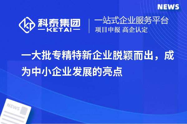 一大批專精特新企業(yè)脫穎而出，成為中小企業(yè)發(fā)展的亮點