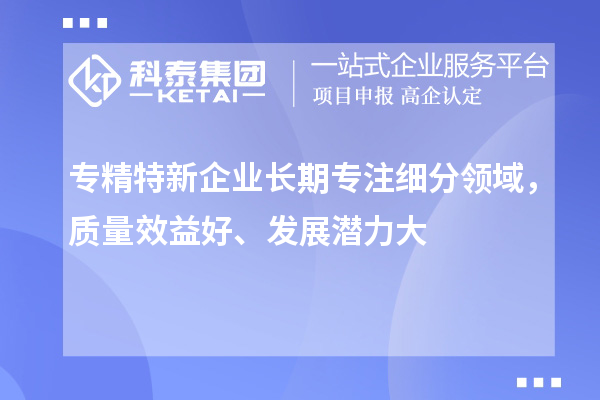 專精特新企業(yè)長期專注細(xì)分領(lǐng)域，質(zhì)量效益好、發(fā)展?jié)摿Υ? style=