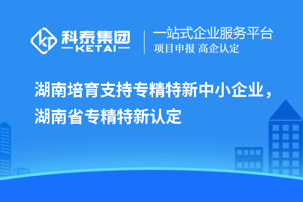 湖南培育支持專精特新中小企業(yè)，湖南省專精特新認定