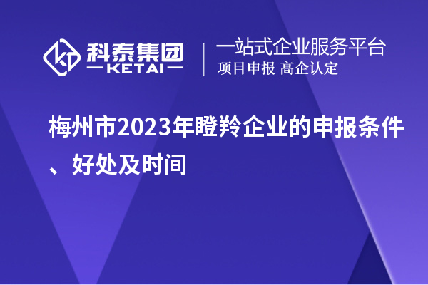 梅州市2023年瞪羚企業(yè)的申報(bào)條件、好處及時間