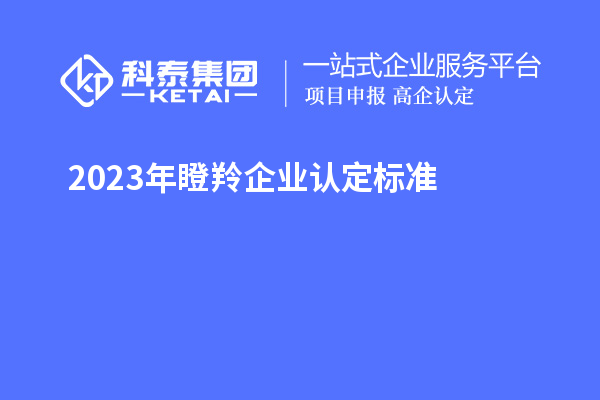 2023年瞪羚企業(yè)認定標準