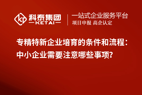 專精特新企業(yè)培育的條件和流程：中小企業(yè)需要注意哪些事項？