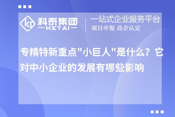 專精特新重點"小巨人"是什么？它對中小企業(yè)的發(fā)展有哪些影響