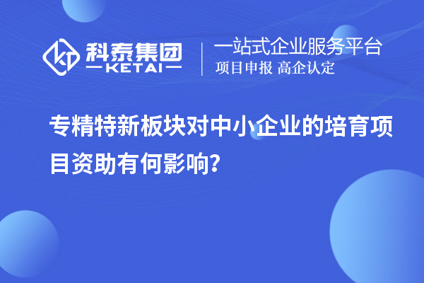 專精特新板塊對(duì)中小企業(yè)的培育項(xiàng)目資助有何影響？