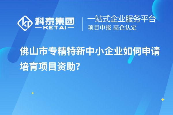 佛山市專精特新中小企業(yè)如何申請培育項目資助？