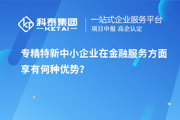 專精特新中小企業(yè)在金融服務方面享有何種優(yōu)勢？