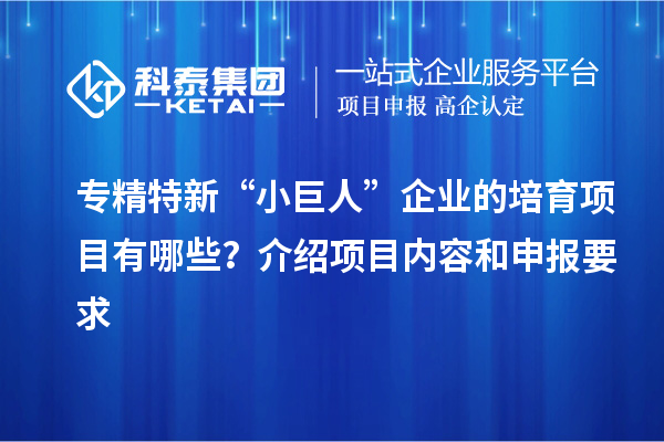 專精特新“小巨人”企業(yè)的培育項目有哪些？介紹項目內容和申報要求