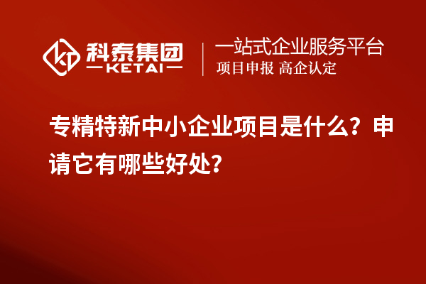 專精特新中小企業(yè)項目是什么？申請它有哪些好處？