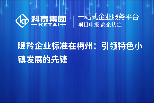 瞪羚企業(yè)標準在梅州:引領(lǐng)特色小鎮(zhèn)發(fā)展的先鋒