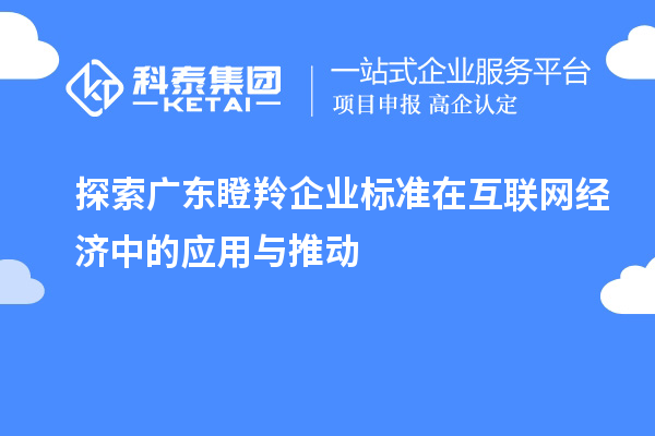 探索廣東瞪羚企業(yè)標準在互聯網經濟中的應用與推動