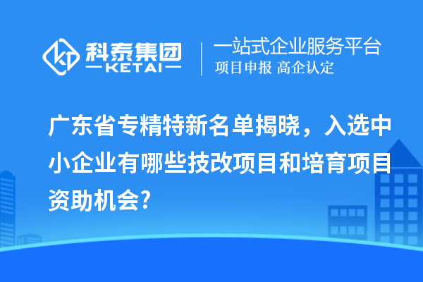 廣東省專精特新名單揭曉，入選中小企業(yè)有哪些技改項(xiàng)目和培育項(xiàng)目資助機(jī)會?