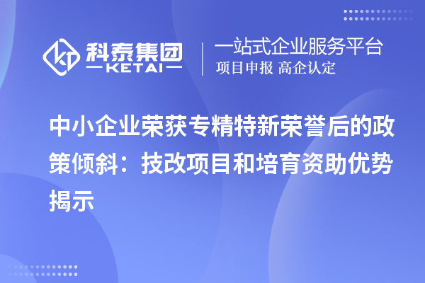 中小企業(yè)榮獲專精特新榮譽后的政策傾斜：技改項目和培育資助優(yōu)勢揭示