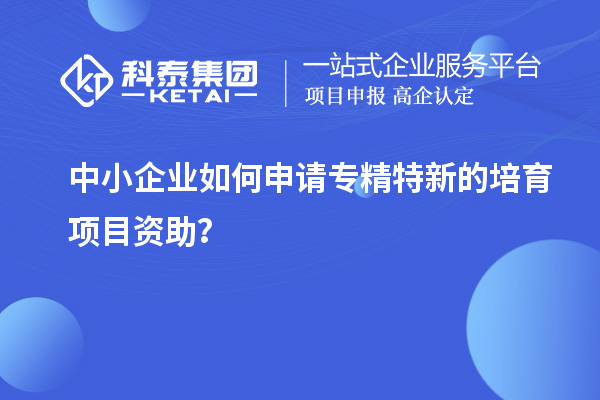 中小企業(yè)如何申請專精特新的培育項目資助？