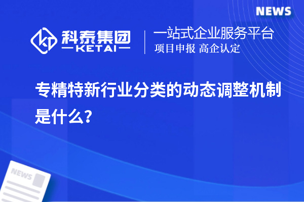 專精特新行業(yè)分類的動態(tài)調整機制是什么？