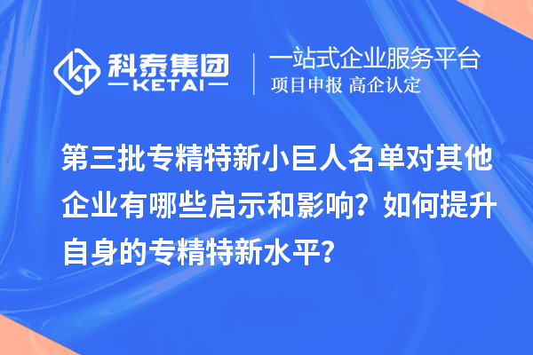 第三批專精特新小巨人名單對其他企業(yè)有哪些啟示和影響？如何提升自身的專精特新水平？