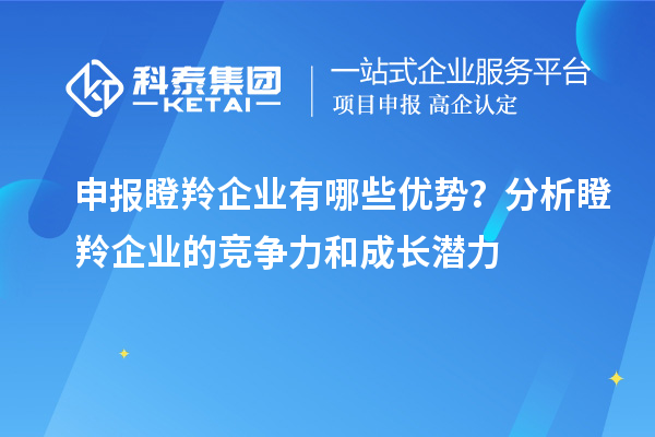 申報瞪羚企業(yè)有哪些優(yōu)勢？分析瞪羚企業(yè)的競爭力和成長潛力