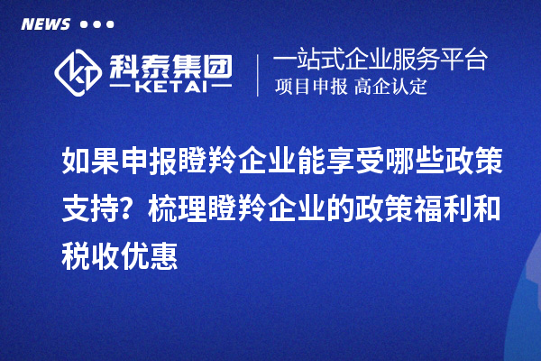 如果申報瞪羚企業(yè)能享受哪些政策支持？梳理瞪羚企業(yè)的政策福利和稅收優(yōu)惠