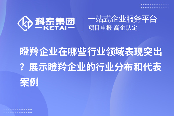 瞪羚企業(yè)在哪些行業(yè)領(lǐng)域表現(xiàn)突出？展示瞪羚企業(yè)的行業(yè)分布和代表案例