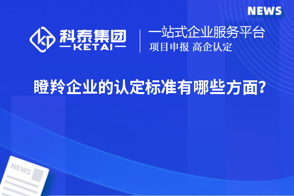 瞪羚企業(yè)的認定標準有哪些方面？