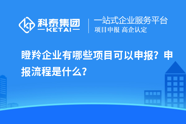 瞪羚企業(yè)有哪些項目可以申報？申報流程是什么？