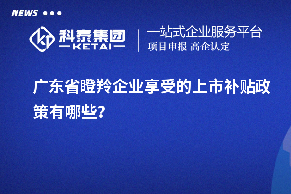 廣東省瞪羚企業(yè)享受的上市補(bǔ)貼政策有哪些？