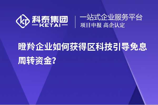 瞪羚企業(yè)如何獲得區(qū)科技引導(dǎo)免息周轉(zhuǎn)資金？