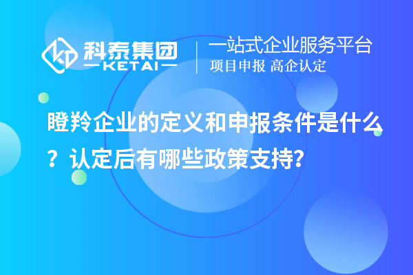 瞪羚企業(yè)的定義和申報(bào)條件是什么？認(rèn)定后有哪些政策支持？