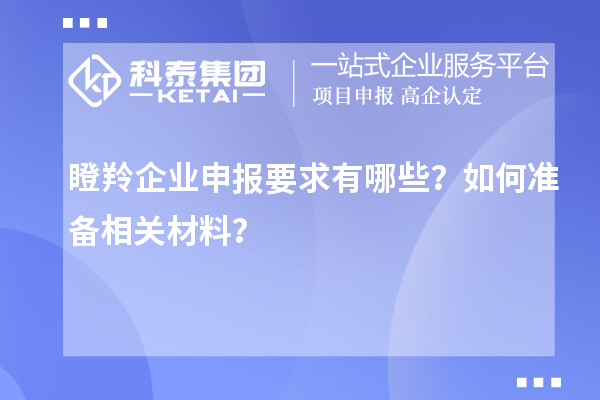 瞪羚企業(yè)申報要求有哪些？如何準備相關(guān)材料？