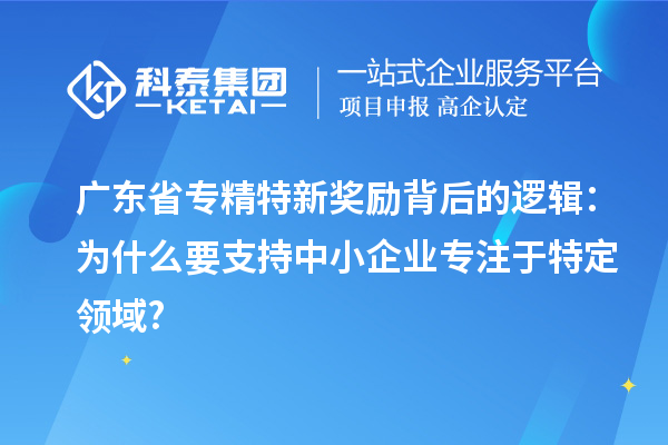 廣東省專精特新獎勵背后的邏輯:為什么要支持中小企業(yè)專注于特定領(lǐng)域?