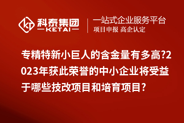 專精特新小巨人的含金量有多高?2023年獲此榮譽(yù)的中小企業(yè)將受益于哪些技改項(xiàng)目和培育項(xiàng)目?