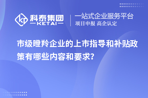市級瞪羚企業(yè)的上市指導(dǎo)和補貼政策有哪些內(nèi)容和要求?