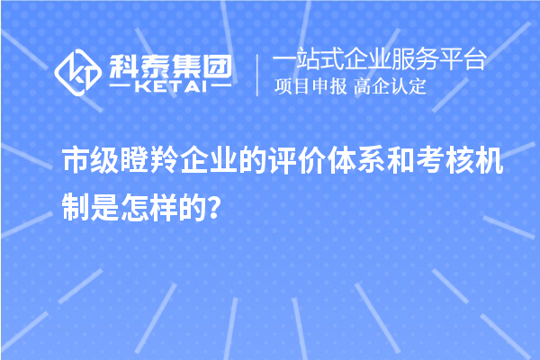 市級瞪羚企業(yè)的評價體系和考核機制是怎樣的？