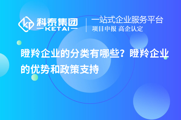 瞪羚企業(yè)的分類有哪些？瞪羚企業(yè)的優(yōu)勢和政策支持
