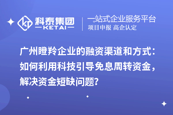 廣州瞪羚企業(yè)的融資渠道和方式：如何利用科技引導(dǎo)免息周轉(zhuǎn)資金，解決資金短缺問題？