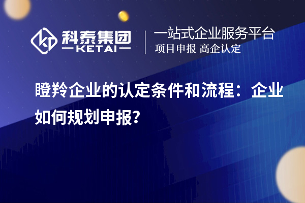 瞪羚企業(yè)的認(rèn)定條件和流程：企業(yè)如何規(guī)劃申報(bào)？