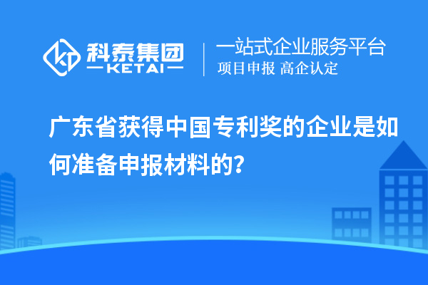 廣東省獲得中國專利獎的企業(yè)是如何準(zhǔn)備申報材料的？